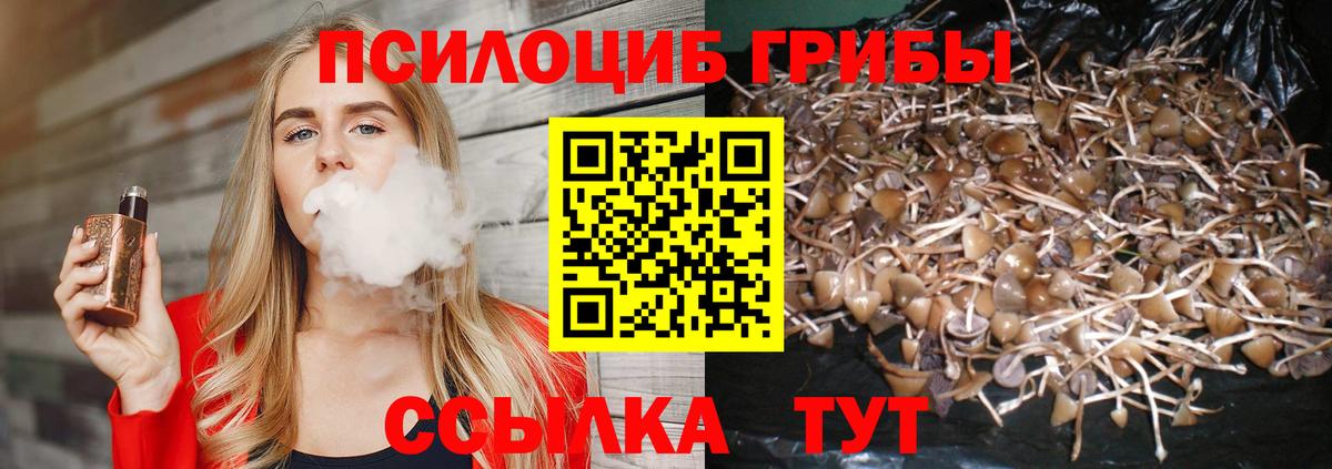 Галлюциногенные грибы мицелий  Вход с VPN  Белорецк 